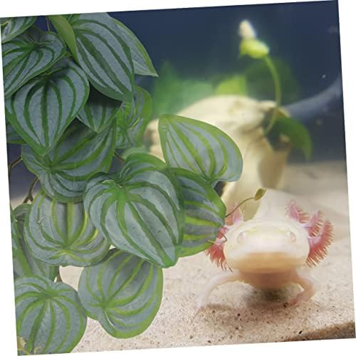 Asılı Bitkiler için PATKAW Vantuzlar Mini Plastik Kaplar Kaplumbağa Aksesuarları Kapalı Ev Bitkileri Yılan Tankı Aksesuarları