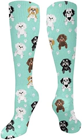 chegna Shih Tzu Sevimli Shih Tsu Köpekler Nane varis çorabı Kadınlar ve Erkekler için Sirkülasyon 15-20 mmHg En İyi