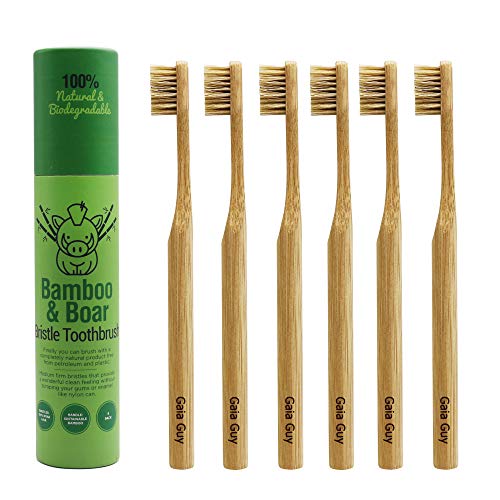 Gaia Guy Doğal Kıl Bambu Diş Fırçası (SADECE Naylon - Yaban Domuzu Kılı YOK) - Tamamen Gübrelenebilir ve Biyolojik