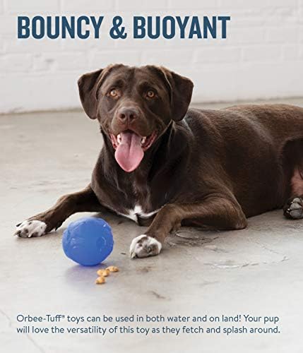 Gezegen Köpek Orbee-Tüf Gezegen Topu Kraliyet Mavi Tedavi Dağıtım Köpek Oyuncak, Büyük