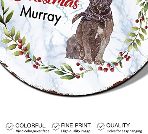 Kardan adam Noel Çelenk İşareti Köpek Şapka Cardinalss Çelenk Yuvarlak Metal Tabela Kapı Dekor Noel için Retro Plak