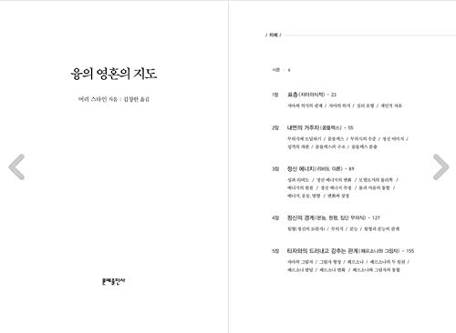 [Korece Kitap Soul] Soul Jung'un Ruhun Haritası (1998년) / BTS 'Persona' Motif Kitabı /Korece Çalışmak / Korece Roman