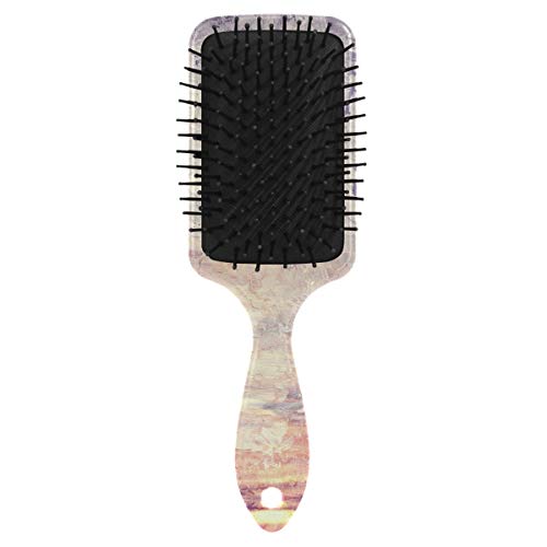 Vıpsk Hava yastığı Saç Fırçası, Plastik Renkli Gün Batımı Sanatsal İllüstrasyon, Kuru ve ıslak saçlar için Uygun iyi