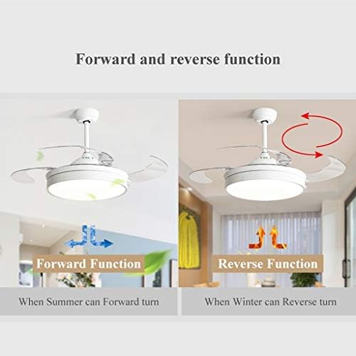 Sessiz ışıklı tavan fanı 42 inç Modern tavan vantilatörleri için ışıkları ile yemek odası uzaktan kumanda fan lambası