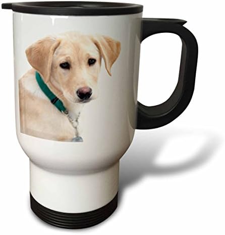 3dRose Labrador Retriever Yavru Köpek Janell Davidson Seyahat Kupası, 14 oz, Çok Renkli