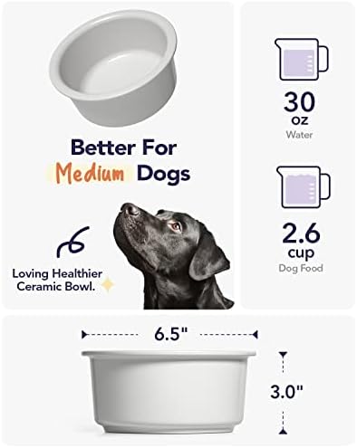 LE TAUCİ PET Seramik Köpek Kase, 2.6 Bardak Köpek su kasesi, ağırlıklı köpek maması kasesi Çanak Küçük Orta Cins için,