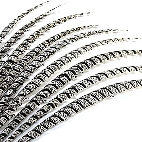 32-40 80-100 CM Uzun Doğal Beyaz Zebra Lady Amherst Sülün Tüyleri Dekorasyon Karnaval Büyük Tüy Parti Aksesuarları