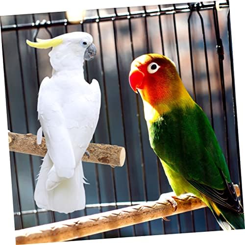 Ipetboom 10 pcs Aşınmaya Dayanıklı Pençe Levrek Kaynağı Yüzey Ahşap Standları Papağanının Taşlama Sopa Kaba için Şube